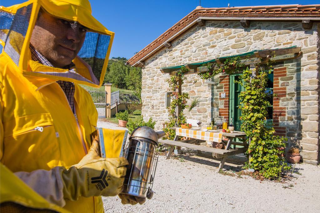 Agriturismo La Coccinella 발파브리카 외부 사진