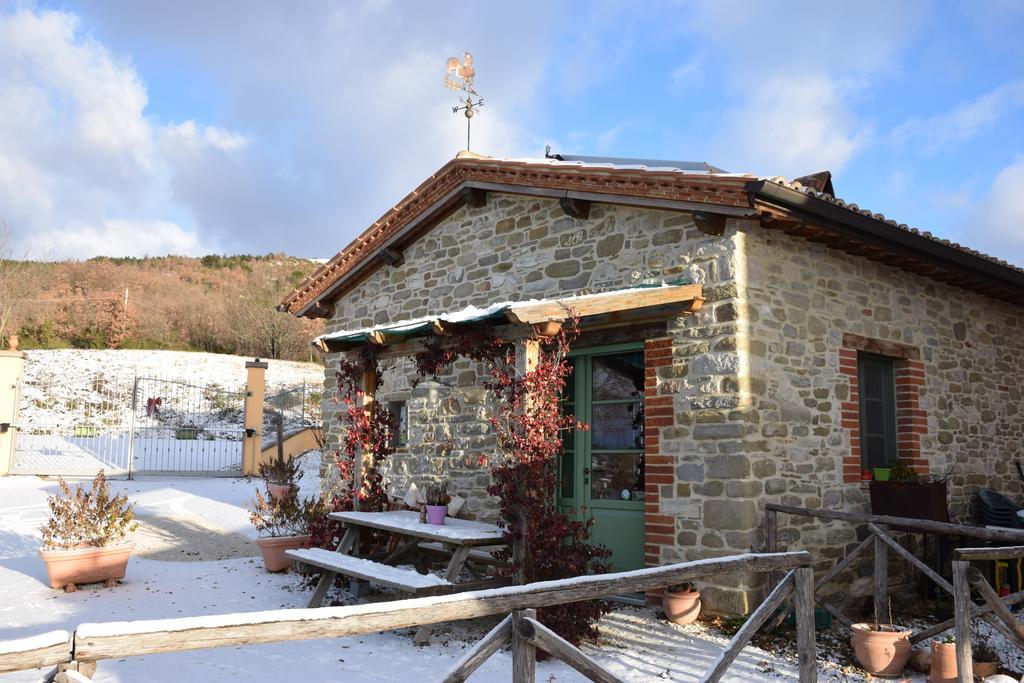 Agriturismo La Coccinella 발파브리카 외부 사진
