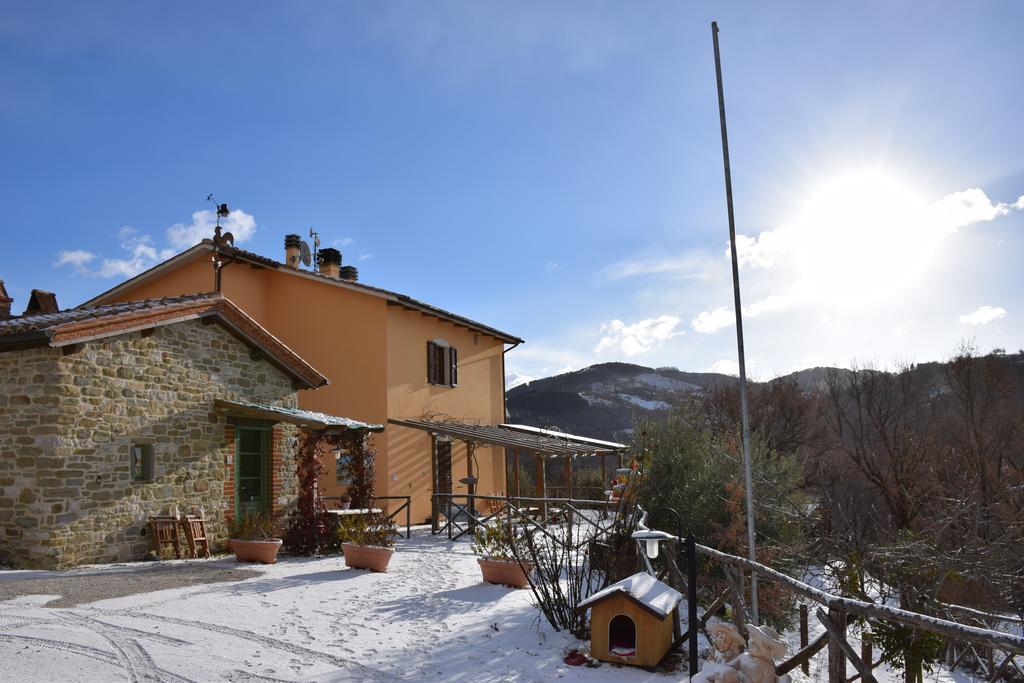 Agriturismo La Coccinella 발파브리카 외부 사진